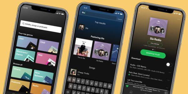 Beyond the Shuffle: Unlocking Spotify Premium's True Potential for Serious Listeners