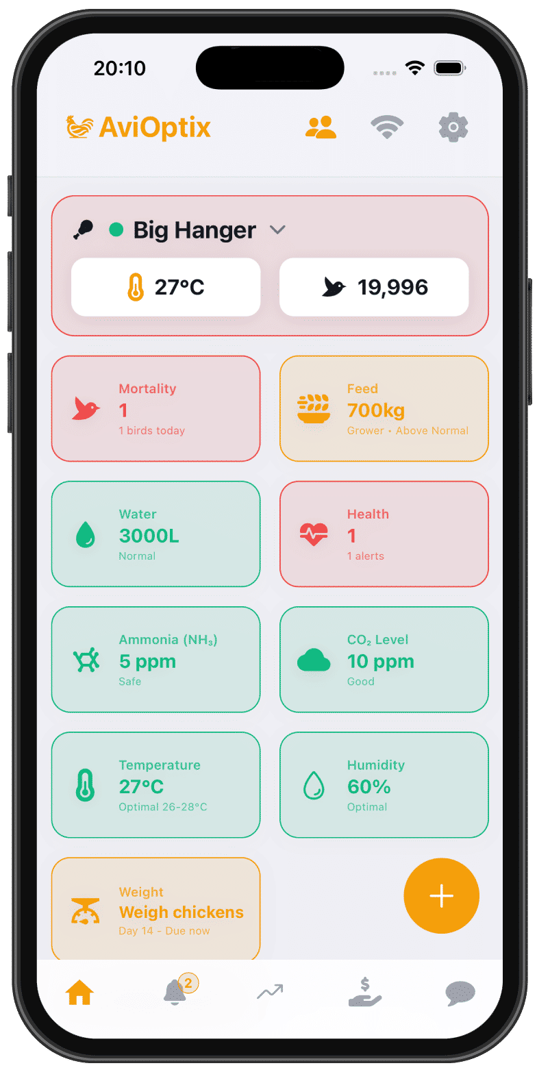 Real-Time Monitoring
