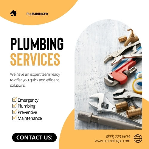 FAQS about Plumbing Inspections Services in Reddick, IL