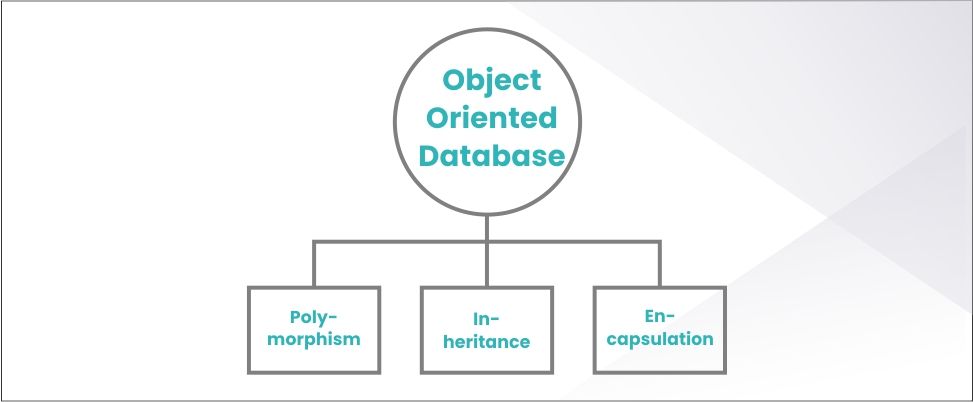 Object Oriented Database