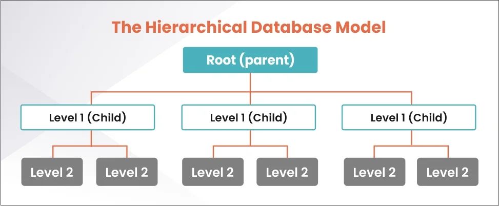 The Hierarchical Database Model