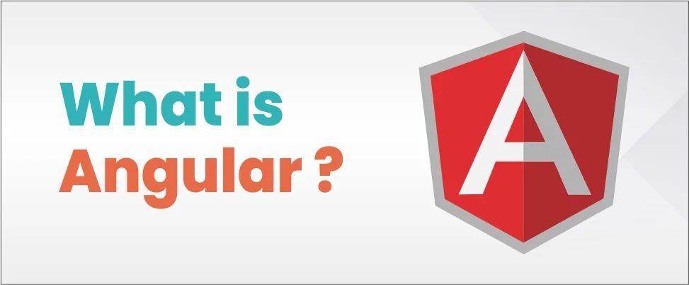 What is Angular img