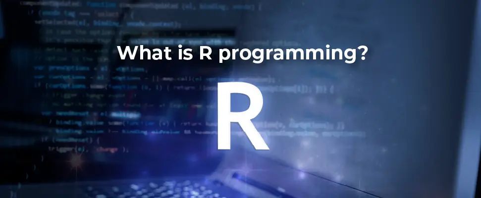What is R programming
