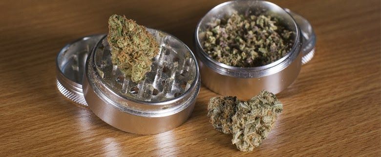 Best Weed Grinders to Shred Your Herbs Perfectly