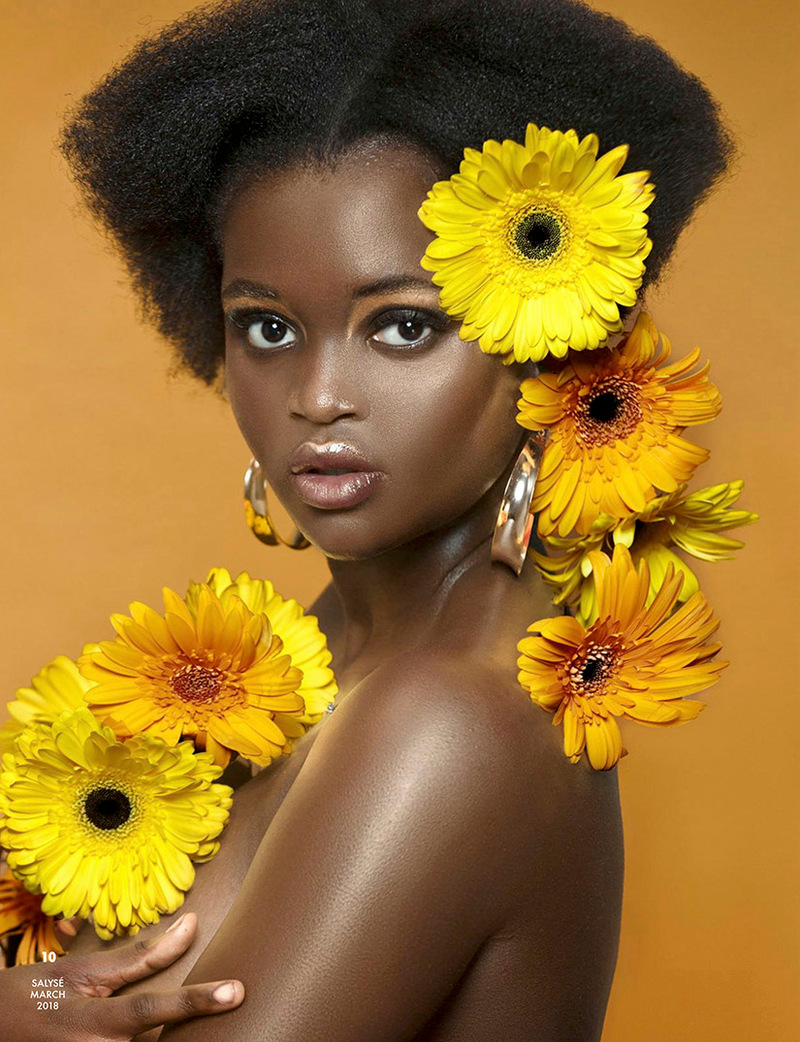 Sunflower Beauty