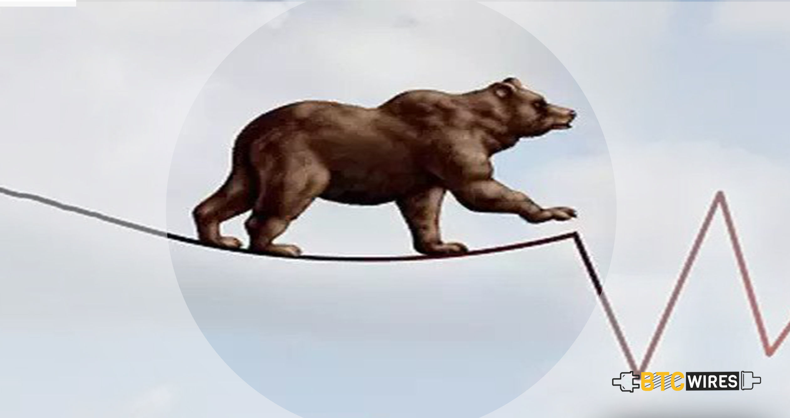 Bears Are Back with Total Market Cap of $18 Billion