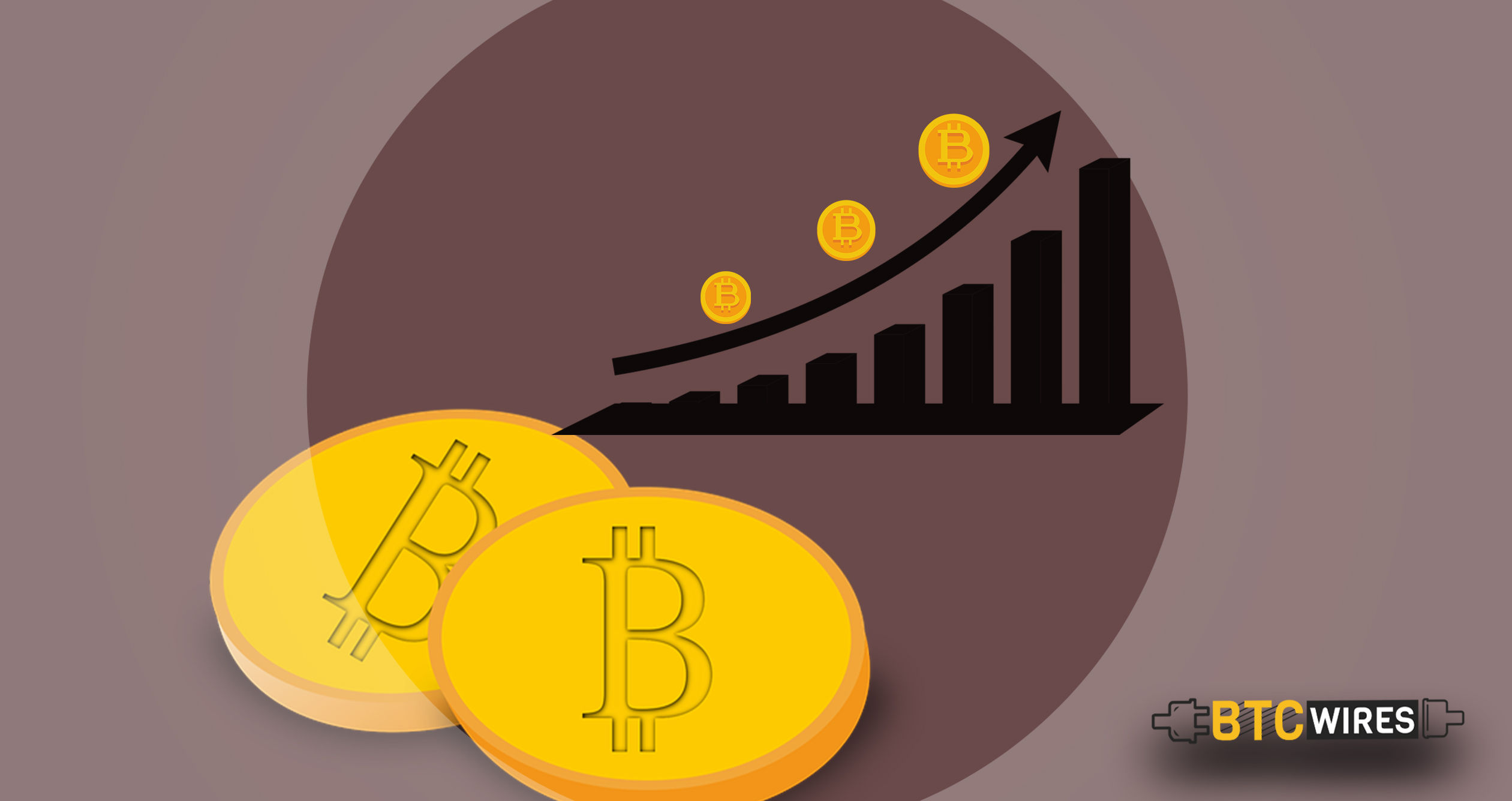 Bitcoin Cash Makes Unimaginable Gains Overnight, Surges By 50%