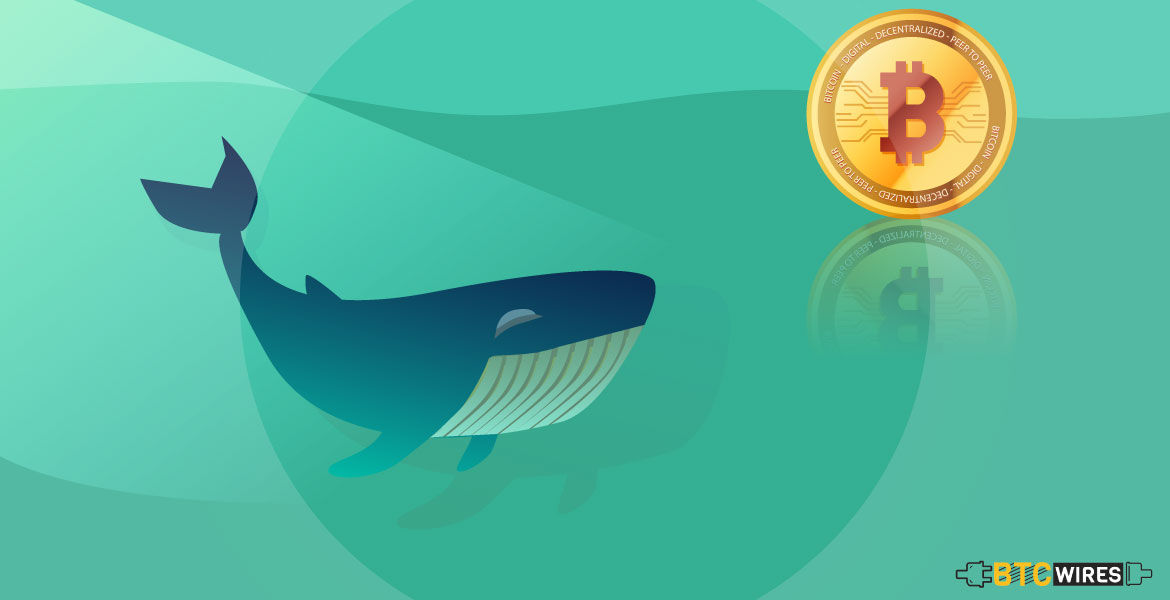 Bitcoin Whale Warns About The Effect of Phantom Money On The Market
