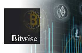 Bitwise Uses “Peel Back” Approach to Measure Bitcoin Value