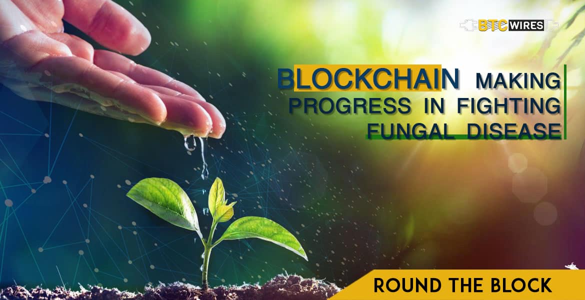 Blockchain To Fight Fungal Disease In The US