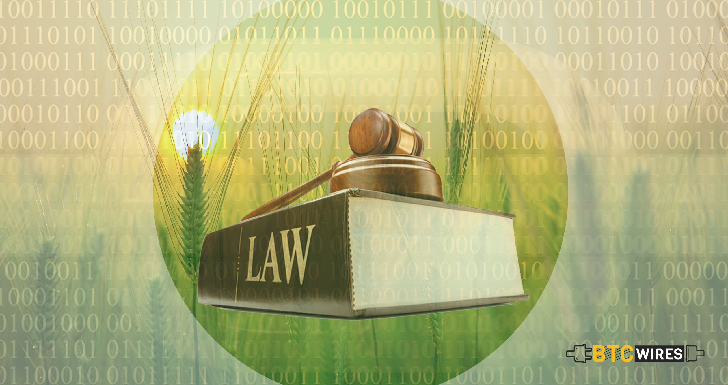 Colorado Lawmakers Show Interest In Blockchain Technology In Agriculture