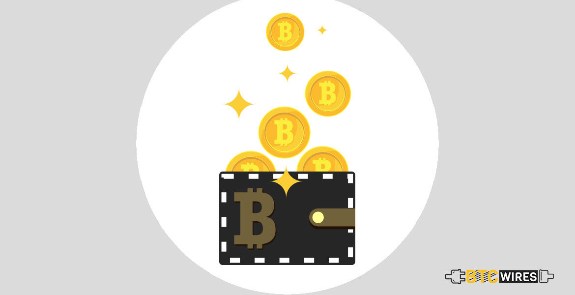 Crypto Wallet, Blockchain, Supports Airdrops Through Its Unique Program