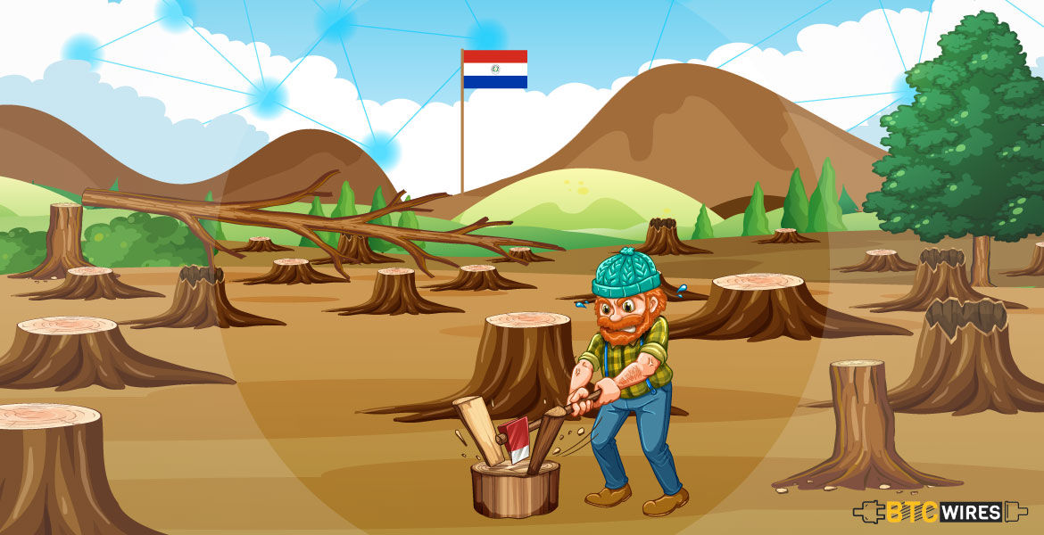Deforestation To Be Curbed With Blockchain In Paraguay