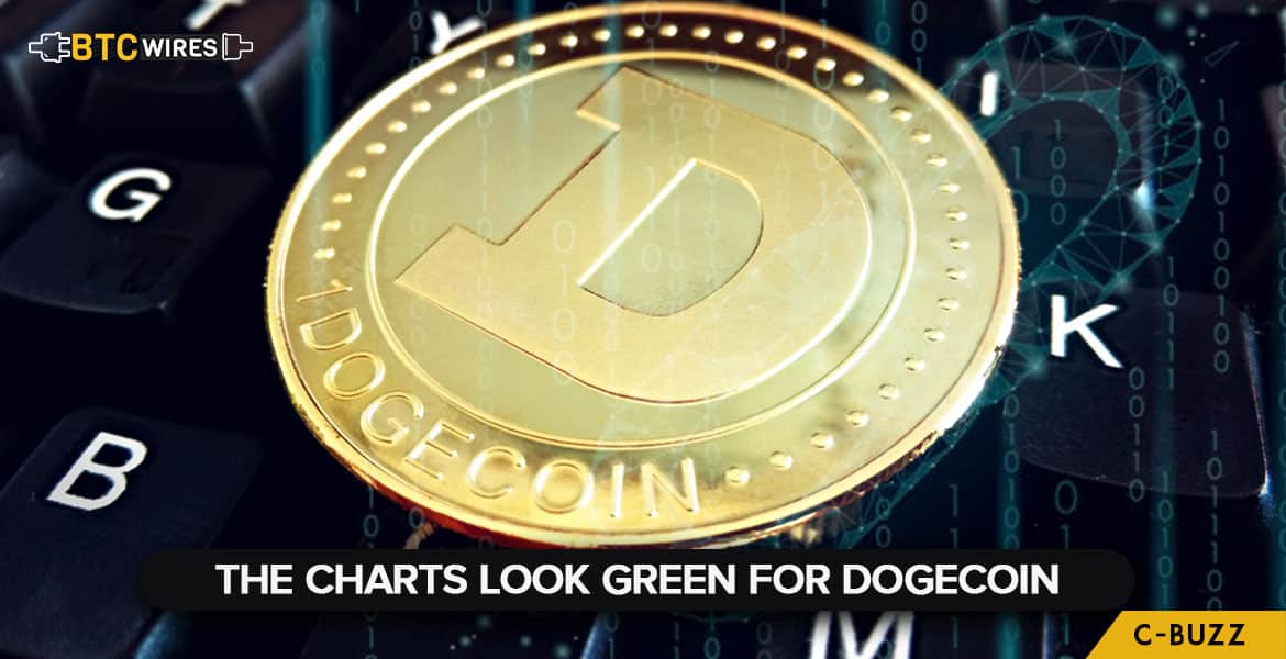 Dogecoin is Making Astonishing Recovery by Rising More Than 18 Percent