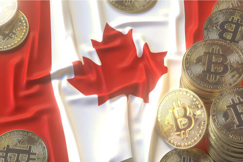 Downfall of Canada’s Lambo driving ‘Crypto King’ reportedly sees $35M in losses