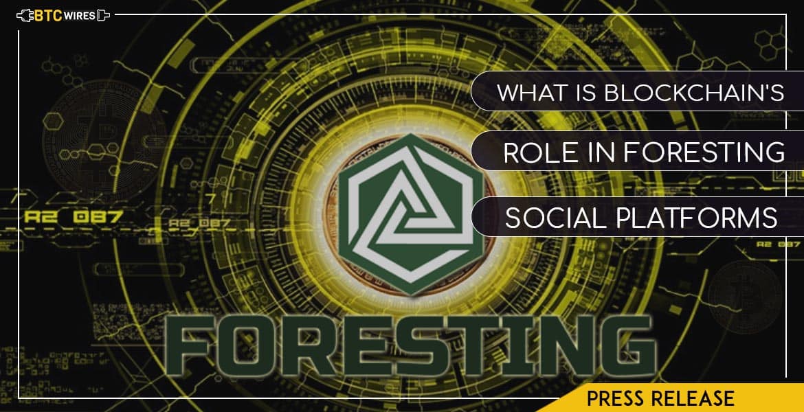 Foresting Social Platform & Blockchain: Everything There Is To Know