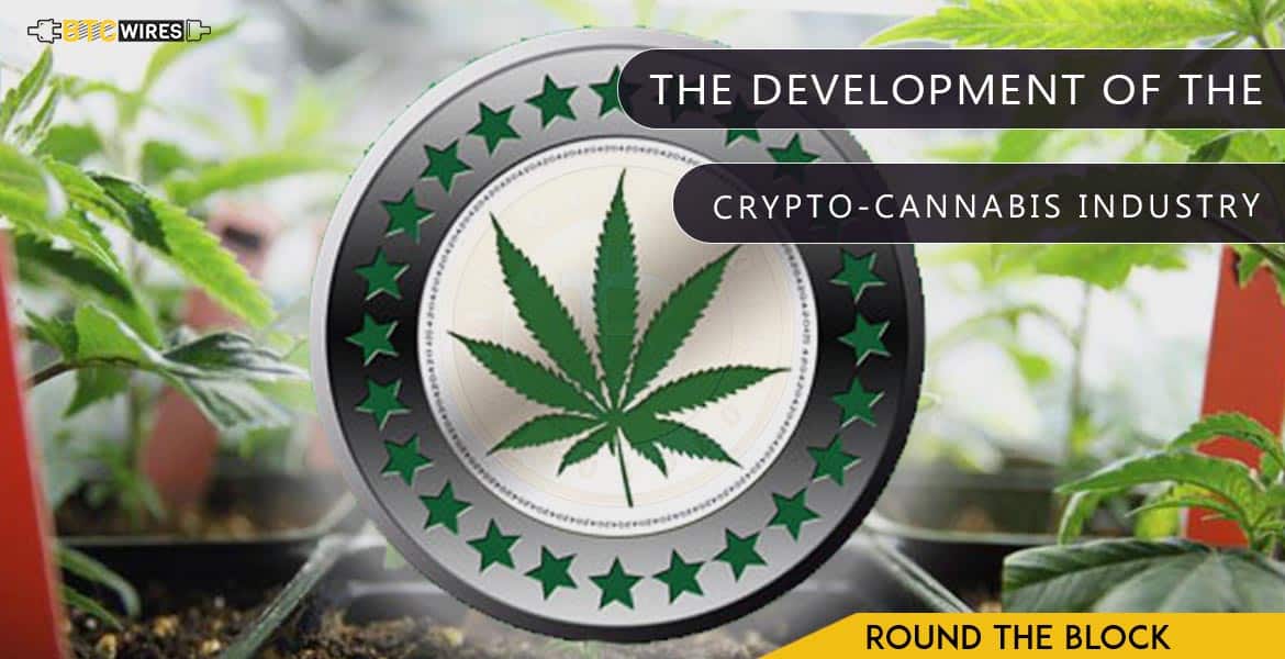 Here’s What’s Really Happening In The Cannabis Cryptosphere