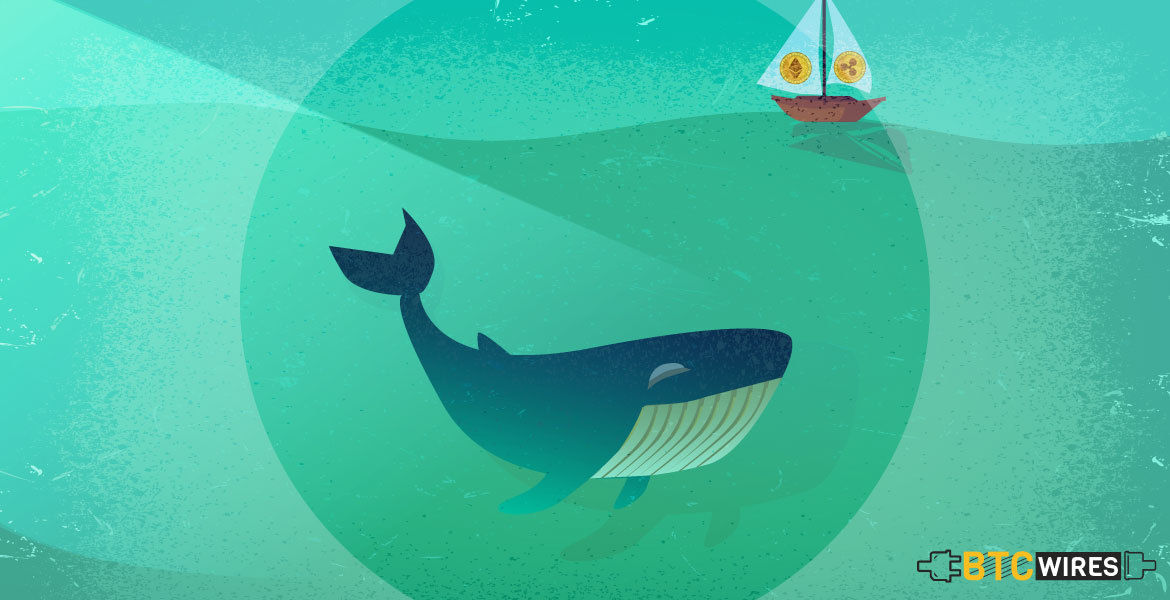 How Cryptocurrency Market Can Avoid Market Manipulation By Whales?