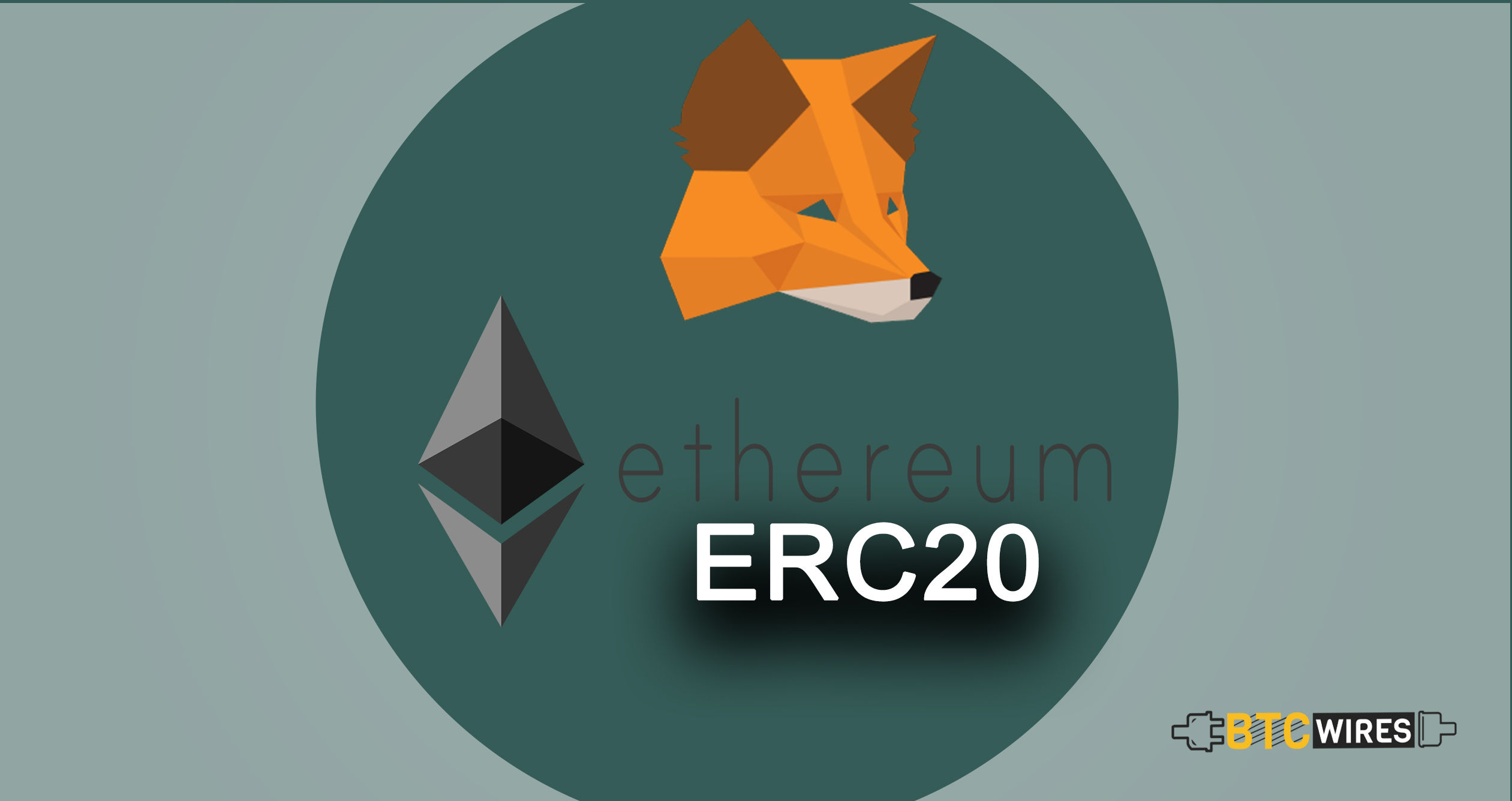 How to Use ERC20 Tokens on MetaMask?