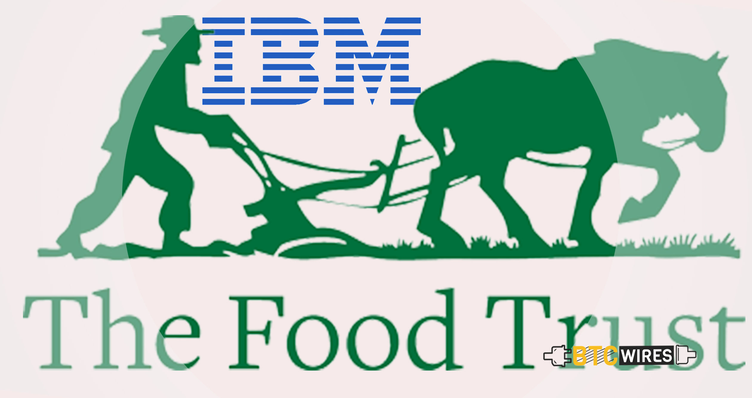 Producers Market Plans To Join the IBM Food Trust