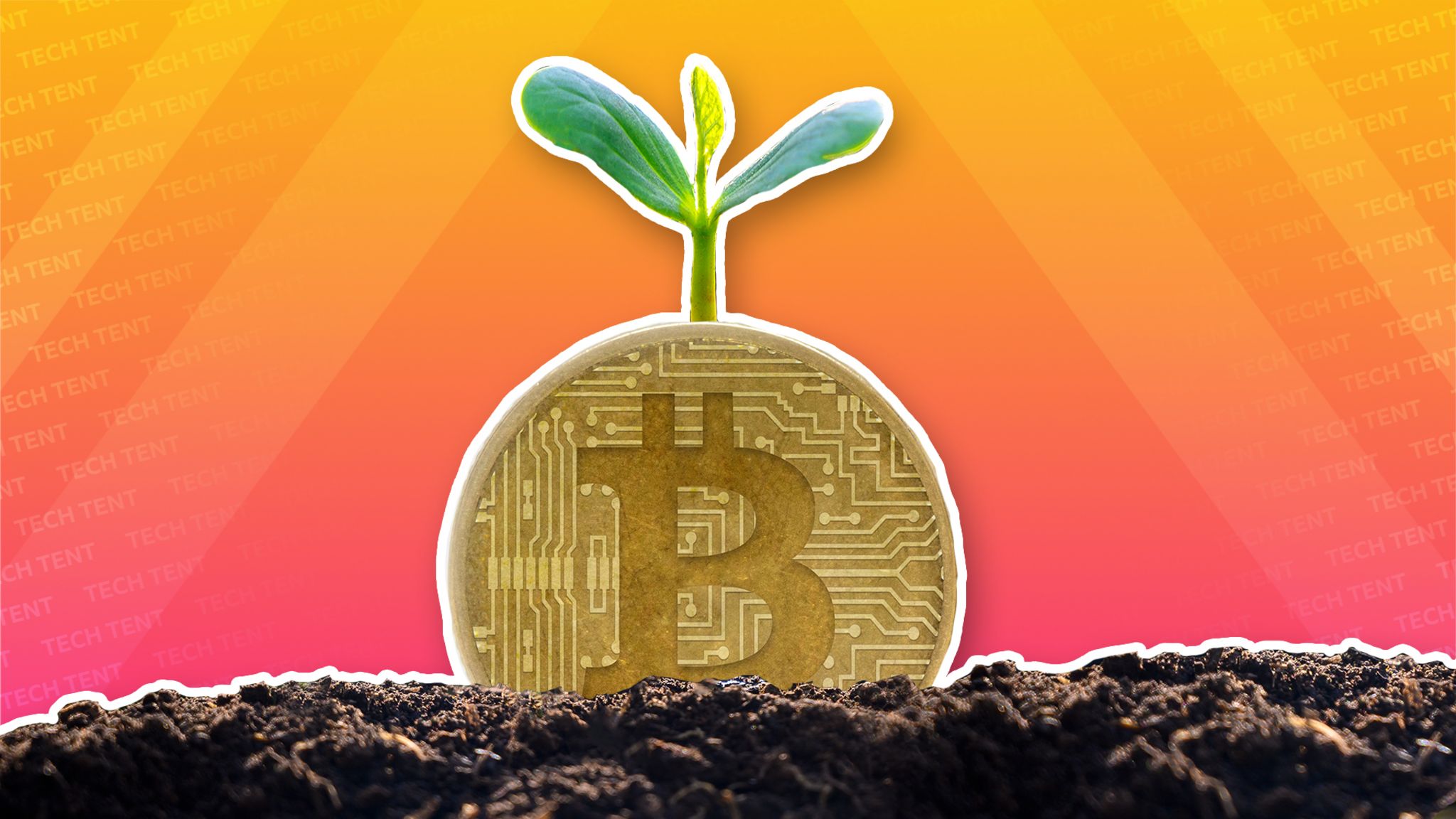 SpaceX owns Bitcoin, Elon Musk and Nic Carter realise BTC is changing into greener