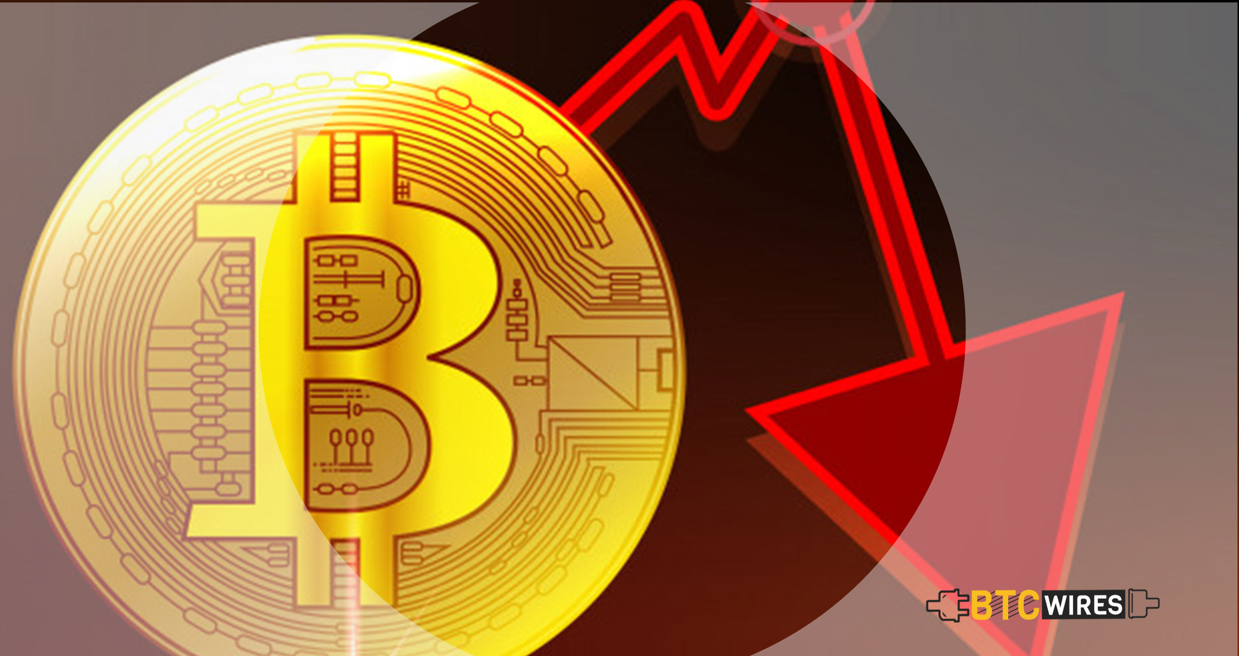 Survey discovered many EI Salvador residents are skeptical of constructing BTC legal system