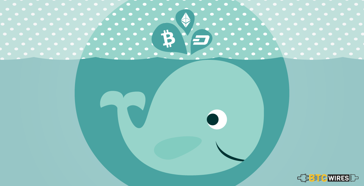Whales indicate Possible Hostility in Crypto trade
