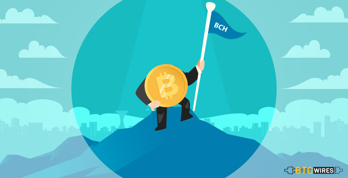 Why Bitcoin Cash Prices are on the Rise, After a Nasty Fall?