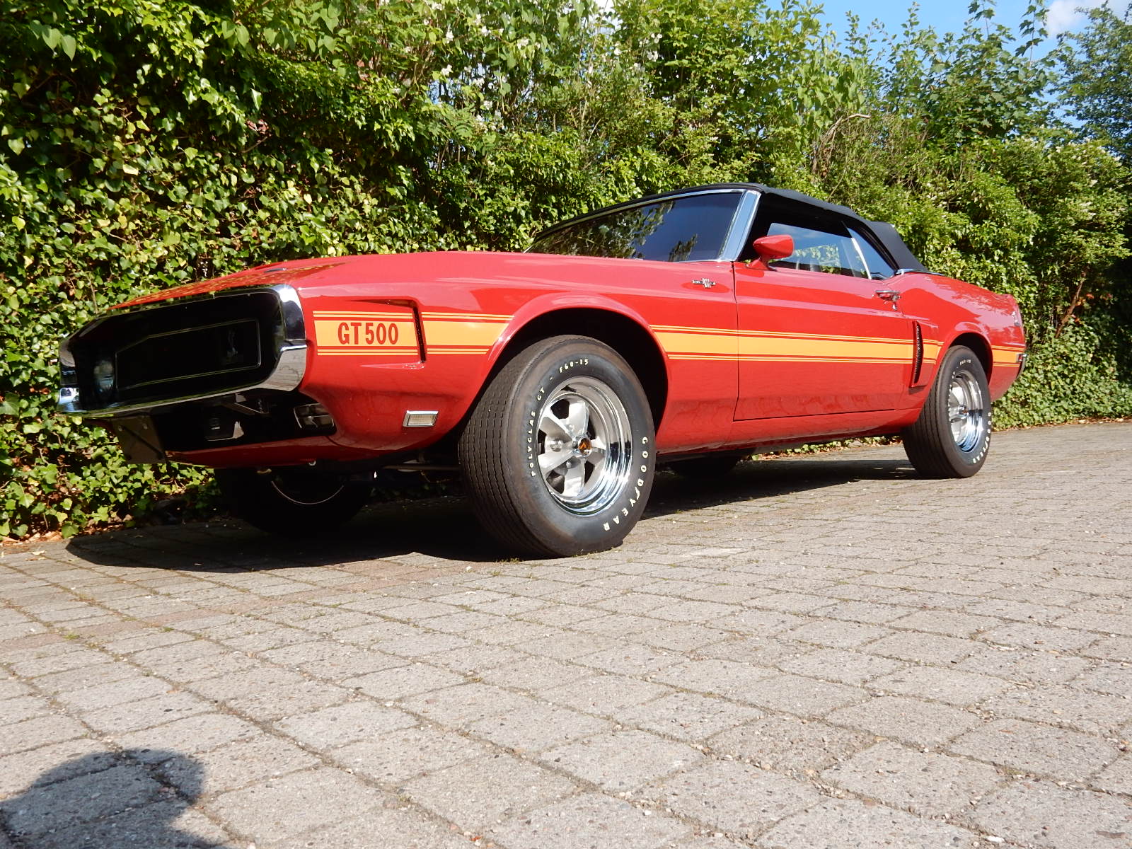 Shelby Mustang GT-H GT500 Convertible