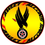 Fawley Falcons Youth Club Logo