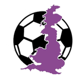 AFC Stoneham Club Logo