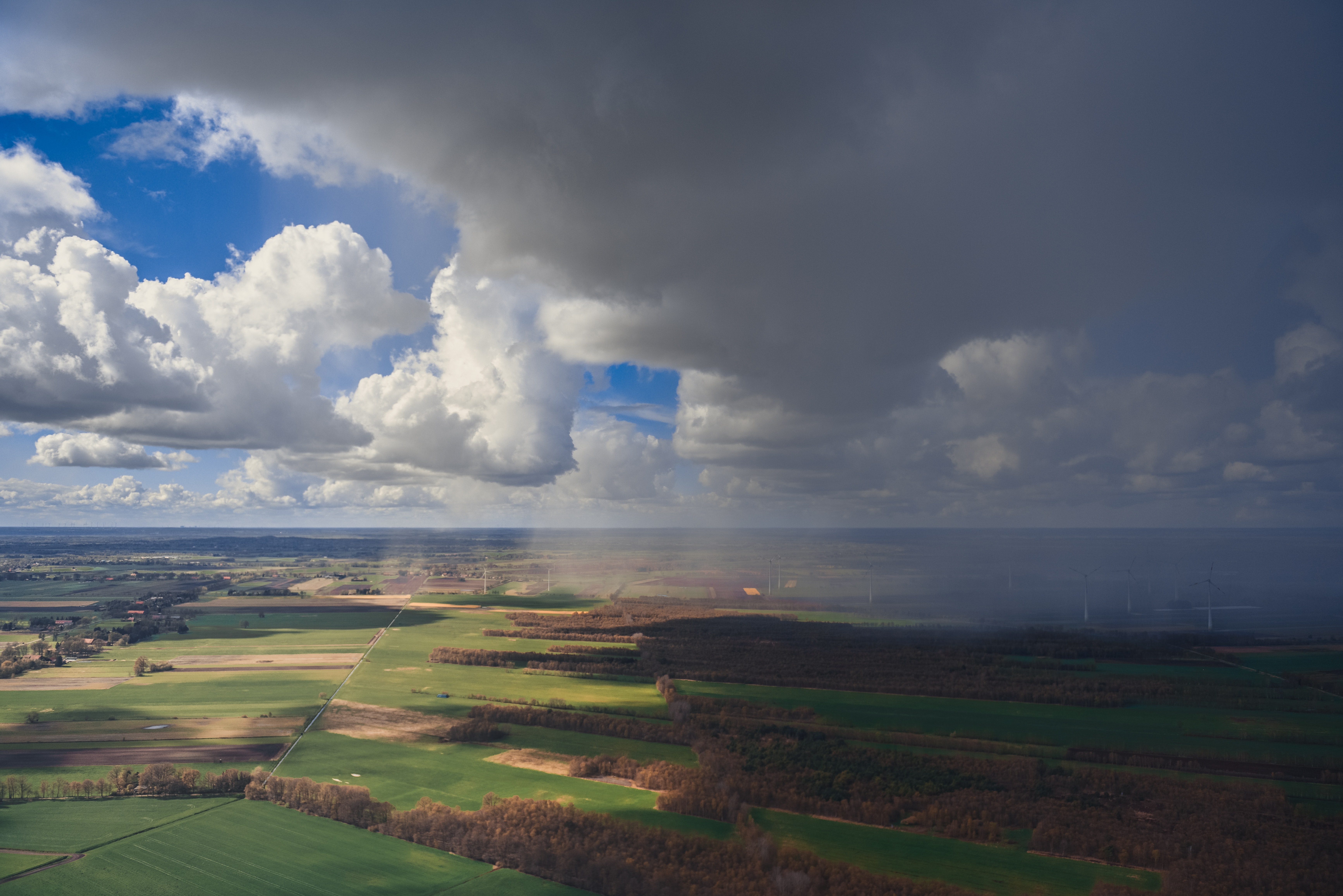 page header image