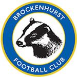 Brockenhurst Youth Football Club Club Logo