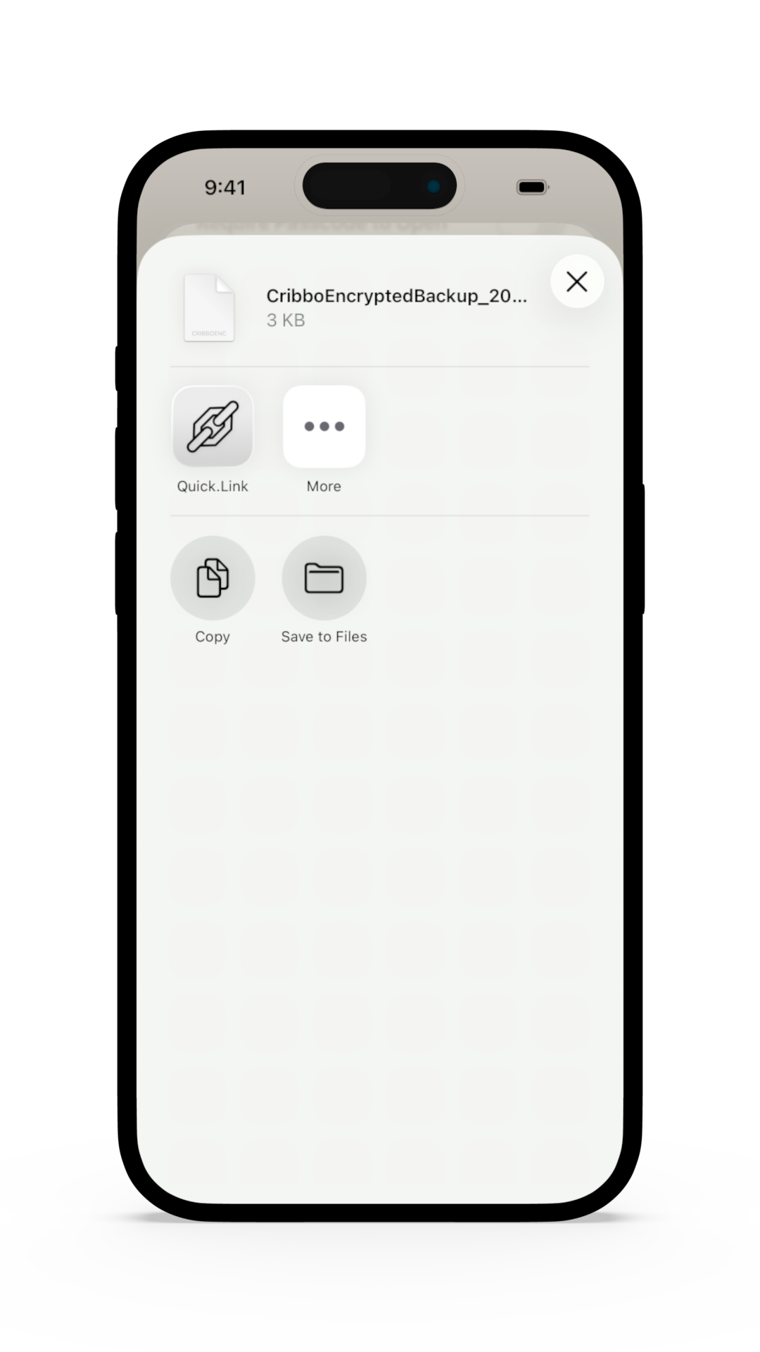 Export encrypted backup