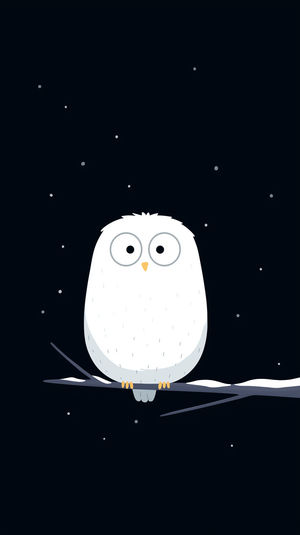Charming Owl Wallpaper - Premium iPhone Lock Screen Wallpaper