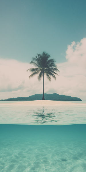 Single palm tree on a small sandy island surrounded by clear turquoise water and distant forested land under a cloudy sky.
