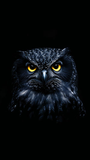 Mystic Night Owl - Premium iPhone Lock Screen Wallpaper