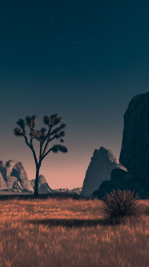 Desert Dusk Serenity - Download HD iPhone Lock Screen Wallpaper