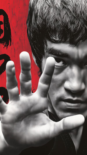Martial Arts Master Wallpaper - Download HD iPhone Lock Screen Wallpaper