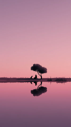 Sunset Silhouette Water Reflection