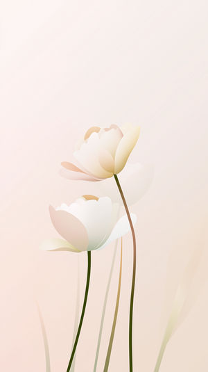 Minimalist Floral Wallpaper