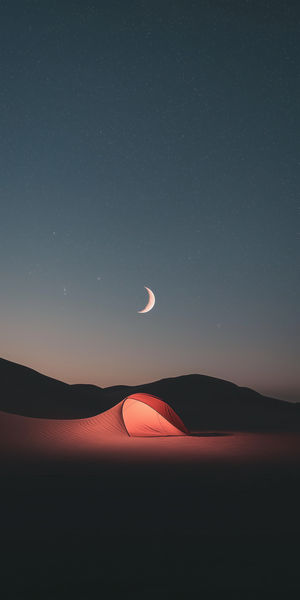 Desert Camping Under Stars