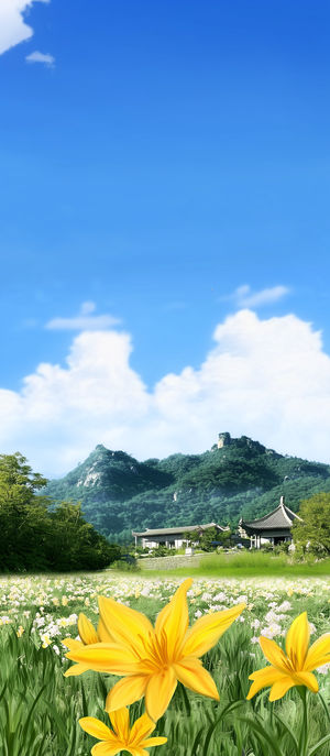 Vibrant yellow lilies in a green meadow with an ancient mountain temple and forested hills beneath a clear blue sky.