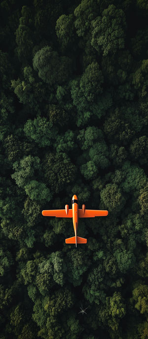 Bird's-eye view of a bright orange single-engine airplane flying over a dense green forest canopy.