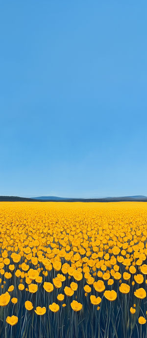 Wide field of vibrant yellow flowers stretching to horizon under a clear blue sky with distant hills, minimalist spring landscape.