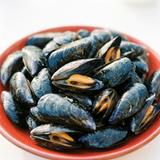 Mussels (Red Plate)