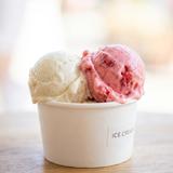 Ice Cream 2 flavours (small cup)