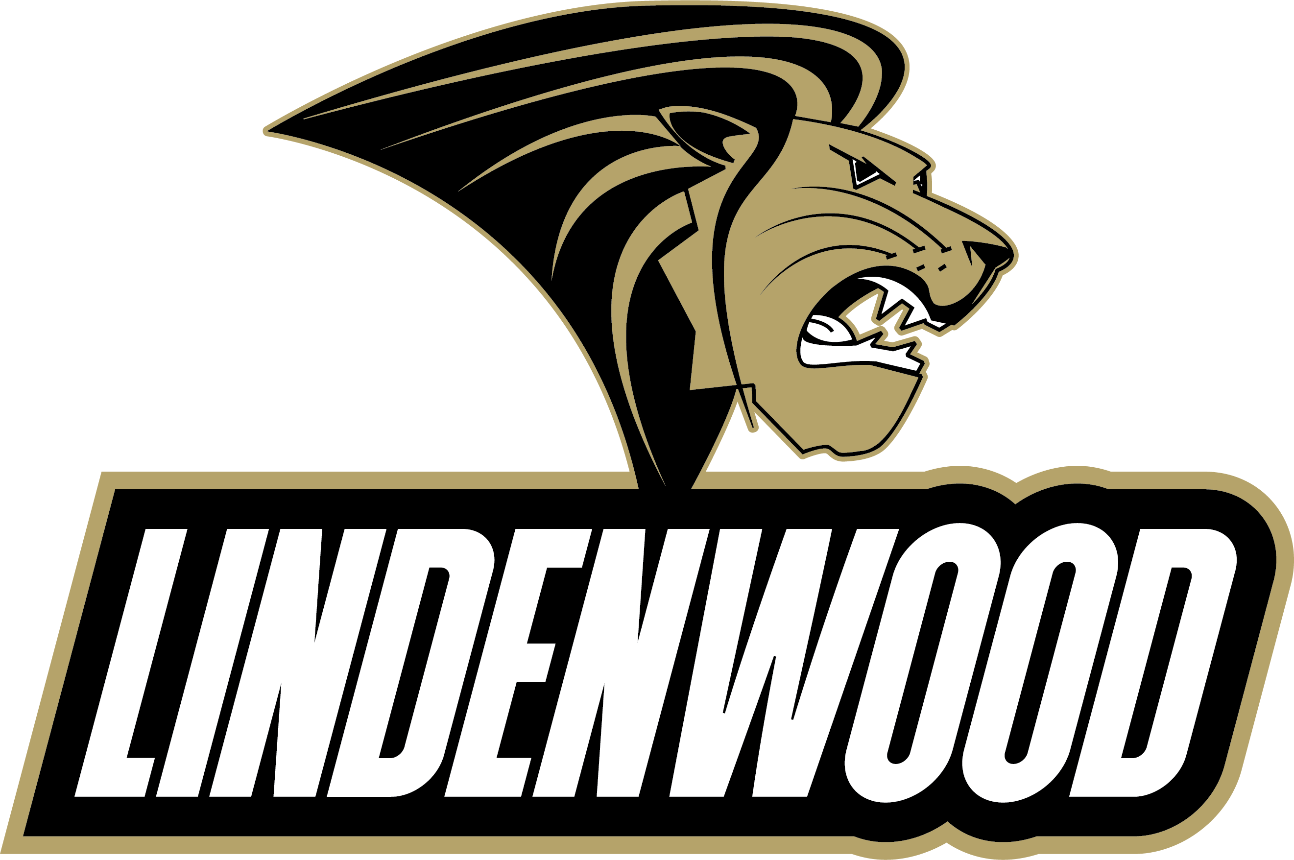 university logo