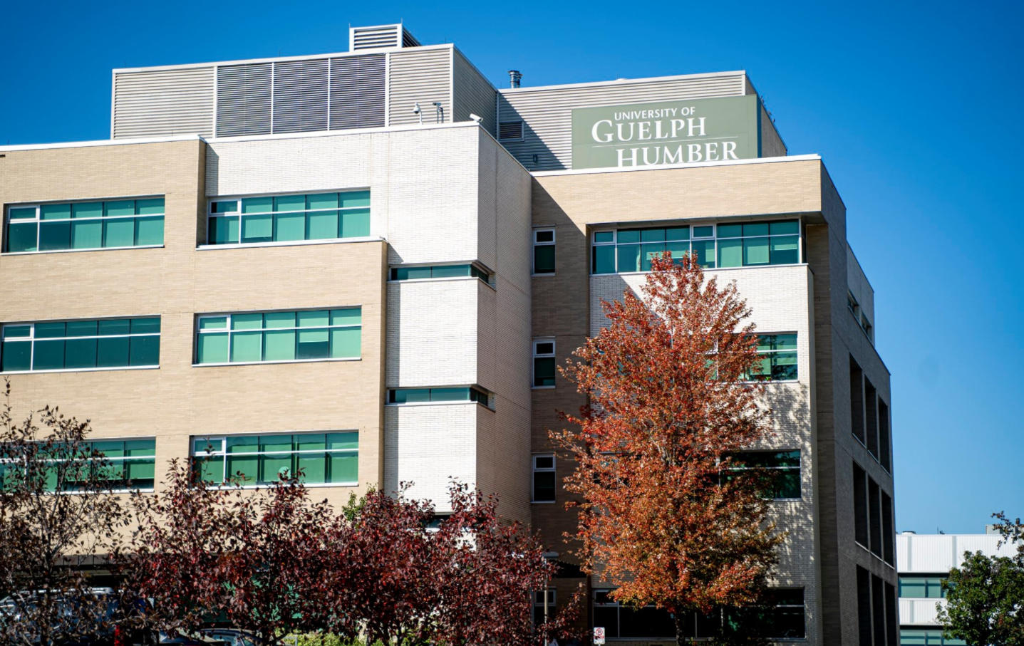 University of Guelph-Humber: Ranking, Courses and Fees, Requirement ...