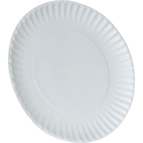 Dixie Uncoated Unprinted 9 inch Paper Plates White -- 1000 per case.